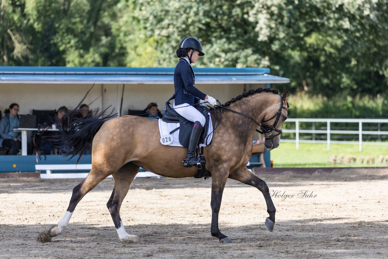 Bild 533 - Pony Akademie Turnier
